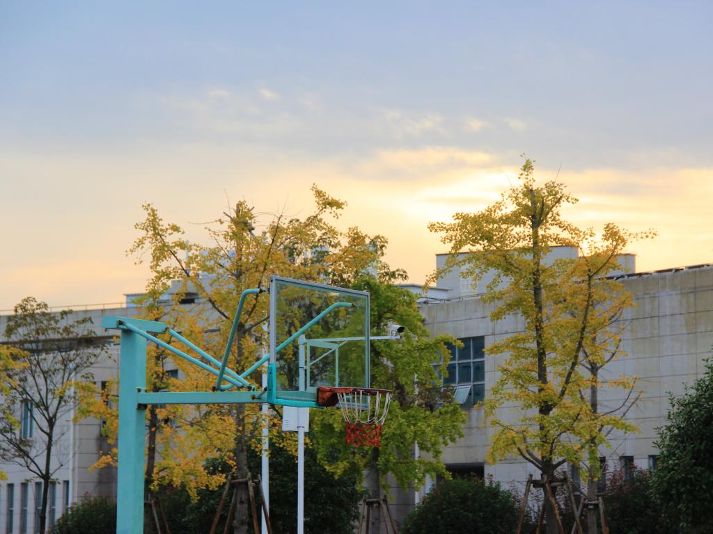 mk体育