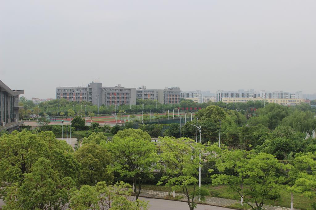 mk体育