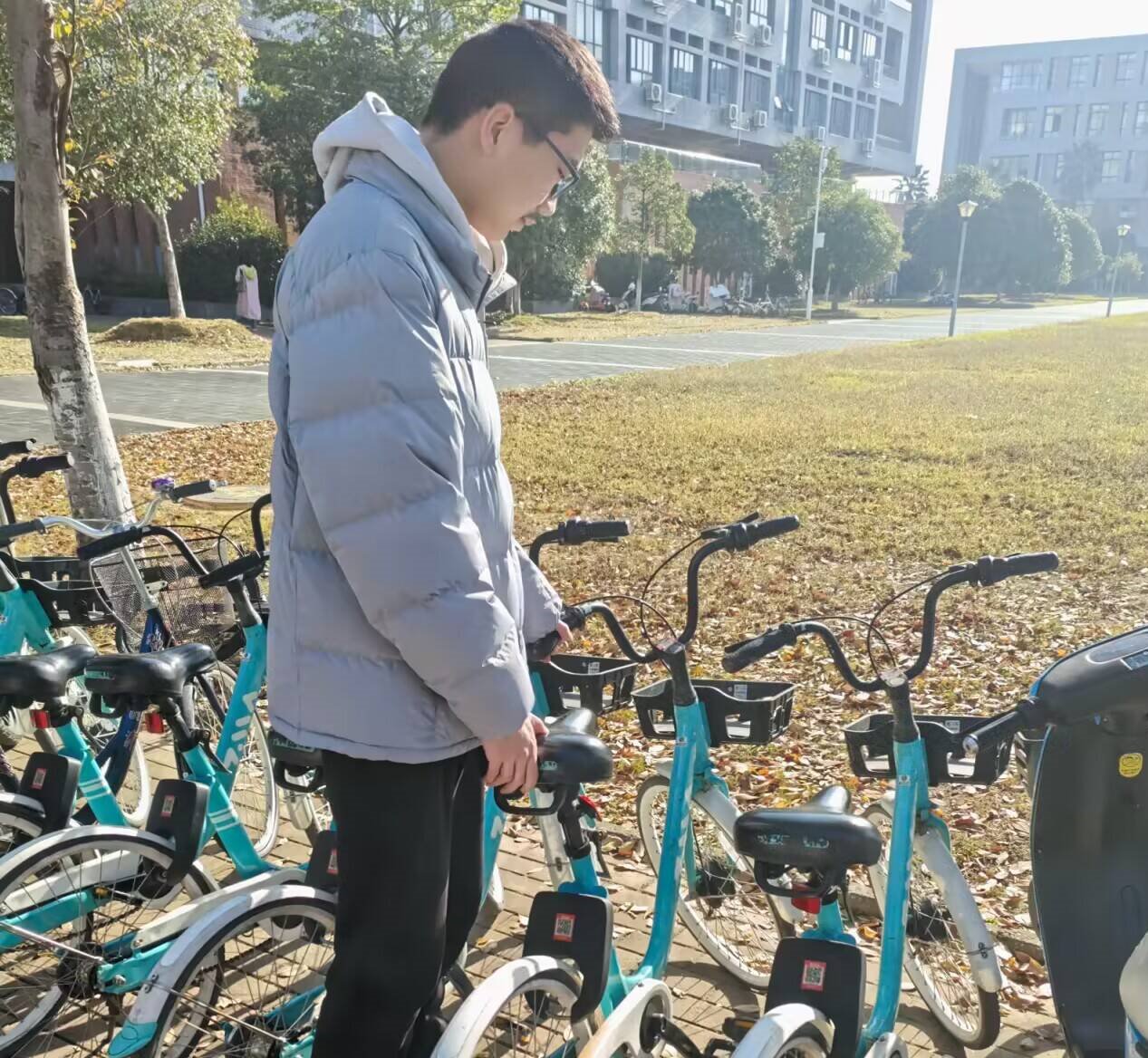 mk体育