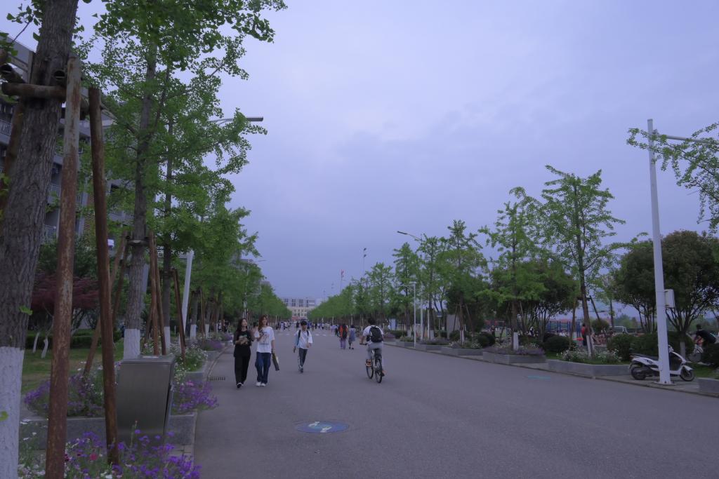 mk体育