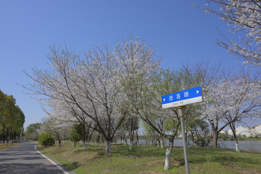 mk体育