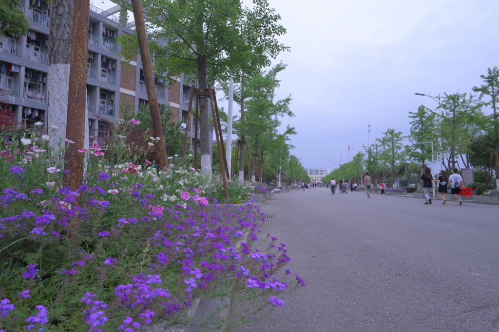 mk体育