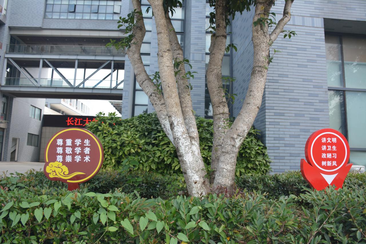 mk体育