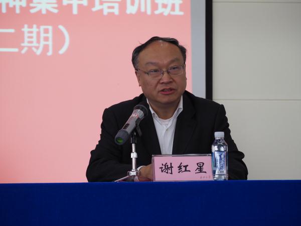 见习记者 刘思艺 (4).jpg
