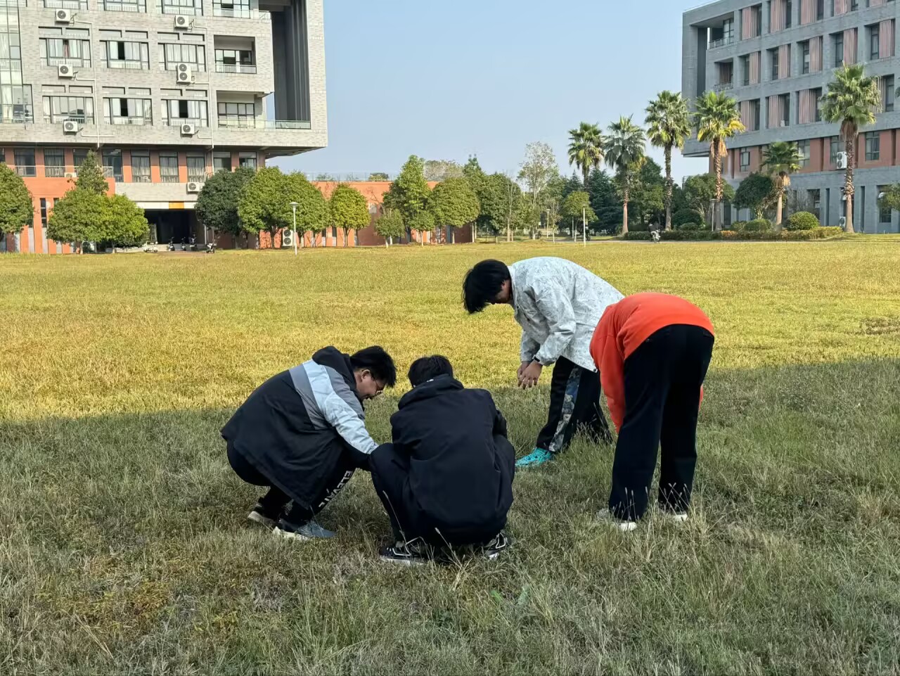 mk体育