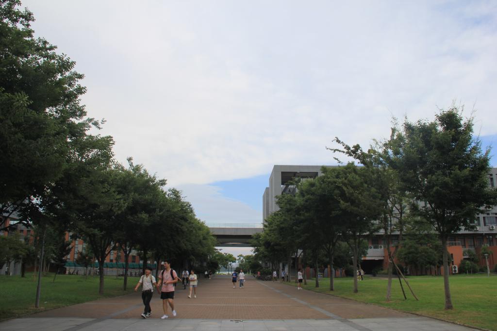 mk体育