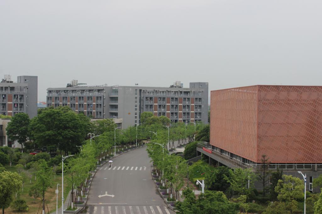 mk体育