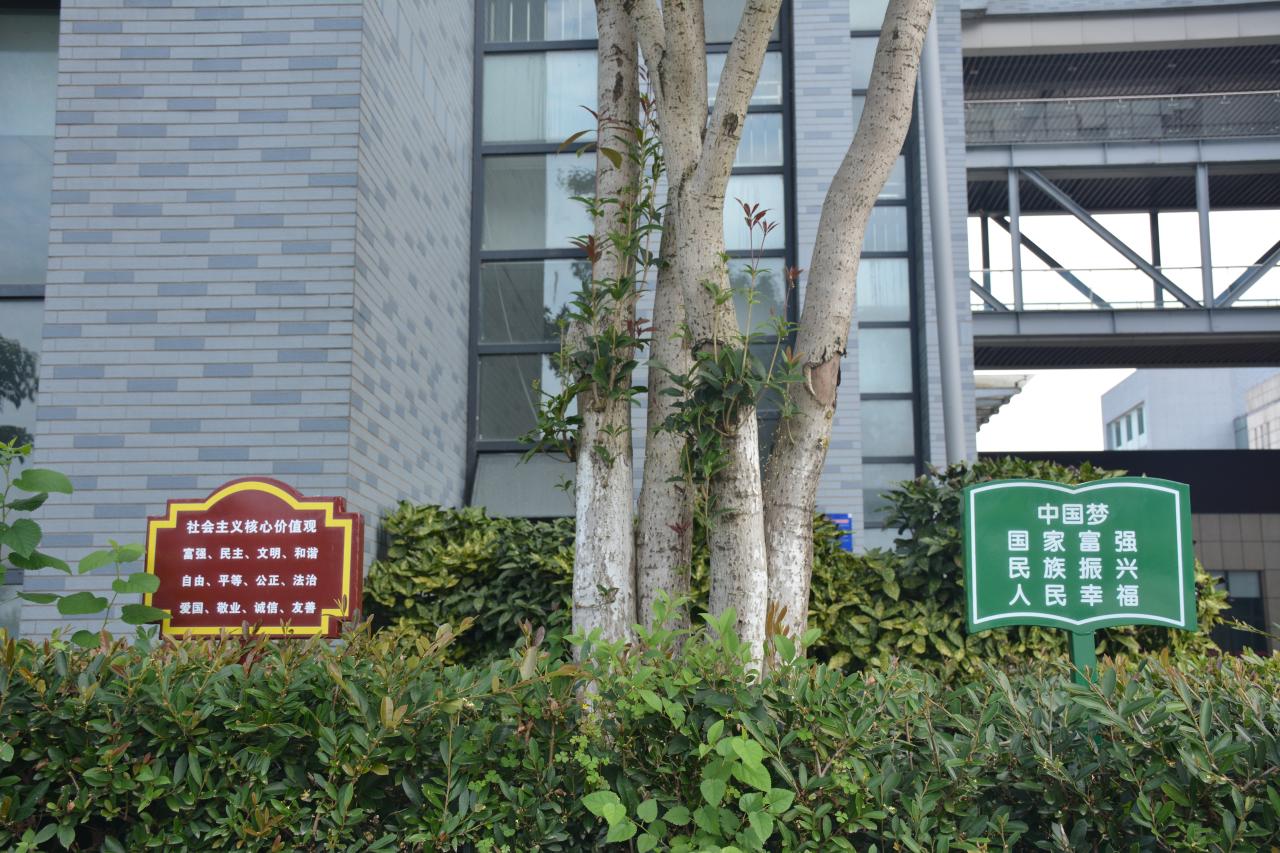 mk体育